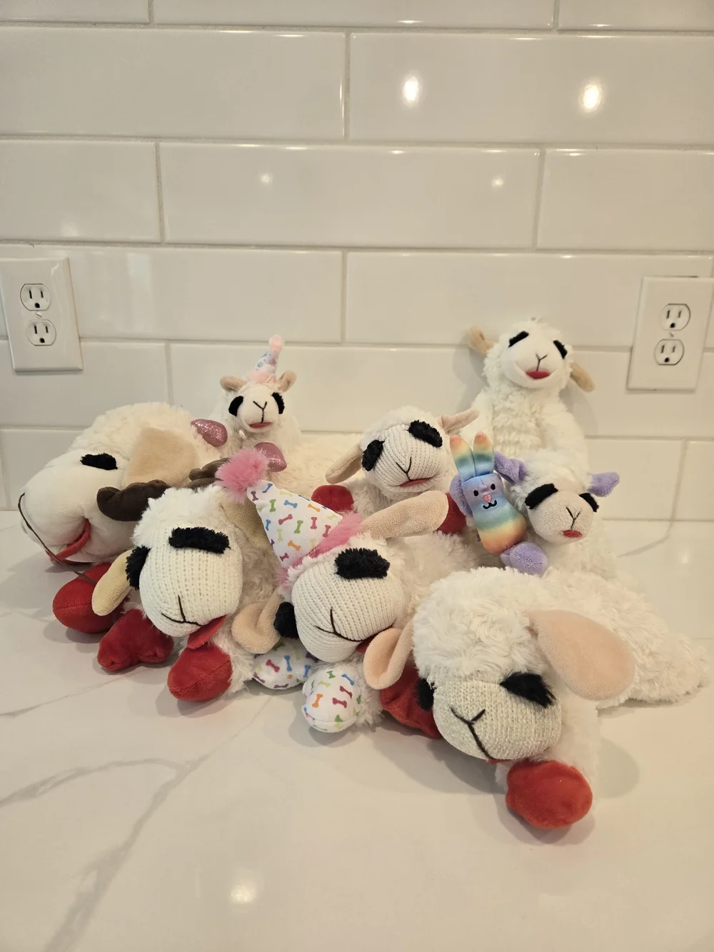 Lamb Chop Dog Toys